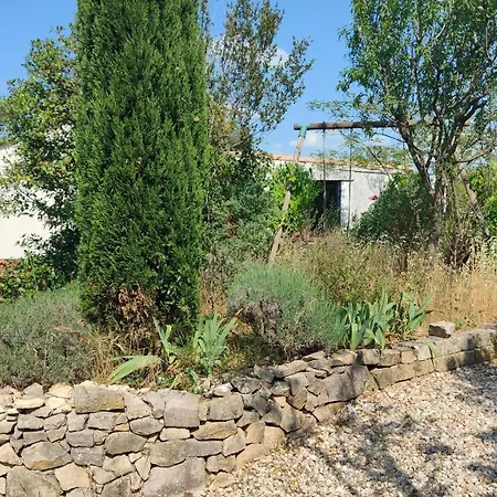 Grande Dans Maison En Garrigue Nimoise Homestay